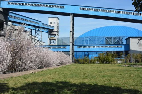 春光似海，產(chǎn)業(yè)如畫 探訪天瑞煤焦化的綠色轉(zhuǎn)型