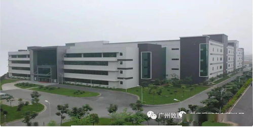 黃埔企業瑞饒信息亮相新聞聯播，彰顯科技創新硬實力