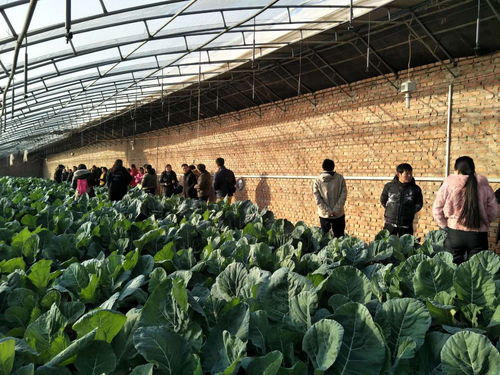 助推北京農(nóng)業(yè)信息化發(fā)展，奧科美獲北京市農(nóng)產(chǎn)品產(chǎn)銷信息協(xié)會(huì)表彰